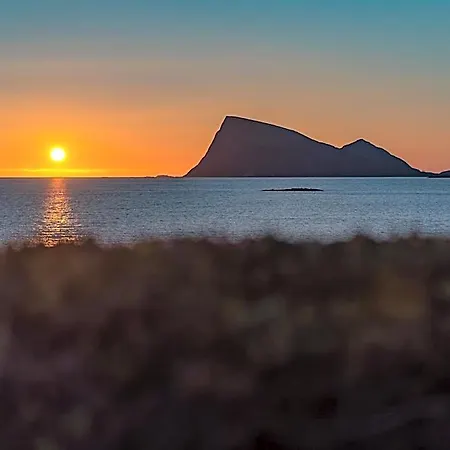 Arctic Tromso Sommarøy
