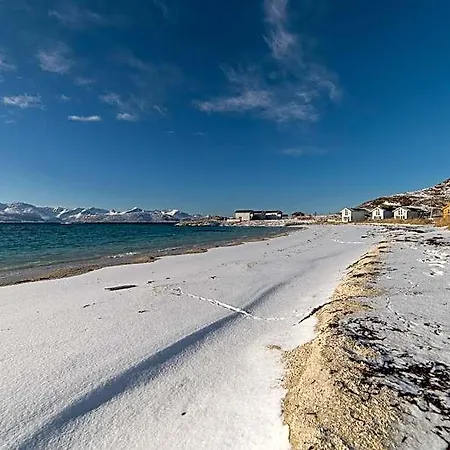 Arctic Tromso 索玛若伊